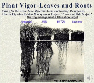 Let’s Waste Grass With Jim Gerrish – Part 2