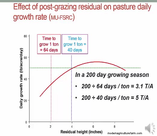 Create Another “Acre” of Pasture By Managing the Grass You’ve Got