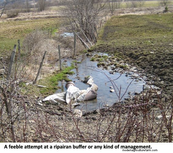 Riparian Grazing: Can We Just Do The Right Thing?