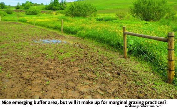 Riparian Grazing: Can We Just Do The Right Thing?