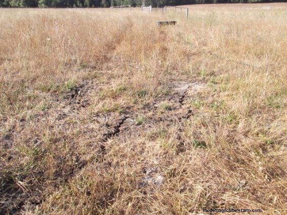 You Can’t Grow Beans From Cracks in the Ground