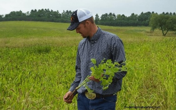 Can Cover Crops and Rotational Grazing Extend Your Grazing Season?