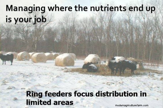 Feeding Hay to Improve Your Land – Part 4