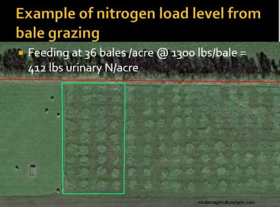 Feeding Hay to Improve Your Land – Part 4
