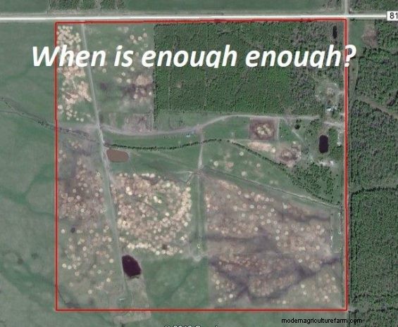 Feeding Hay to Improve Your Land – Part 4