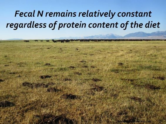 Feeding Hay to Improve Your Land – Part 2