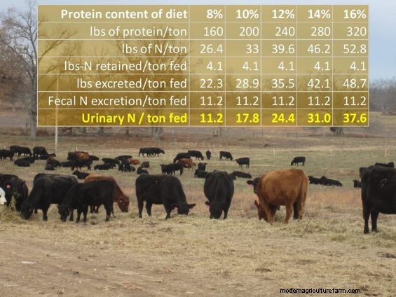 Feeding Hay to Improve Your Land – Part 2