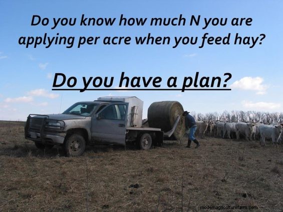 Feeding Hay to Improve Your Land – Part 2