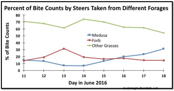 A Rancher’s Discovery Shows Promise for Controlling Medusahead Rye