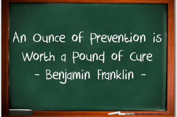 Preventing the Spread of Medusahead