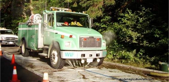 Preventing the Spread of Medusahead