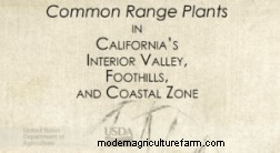 Guides for Identifying Pasture Grasses