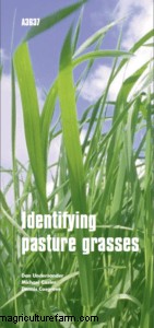 Guides for Identifying Pasture Grasses