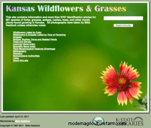 Guides for Identifying Pasture Grasses