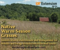 Guides for Identifying Pasture Grasses