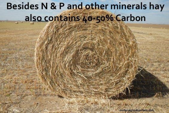 Feeding Hay to Improve Your Land – Part 6