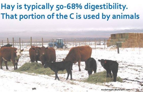 Feeding Hay to Improve Your Land – Part 6