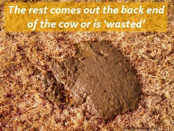 Feeding Hay to Improve Your Land – Part 6