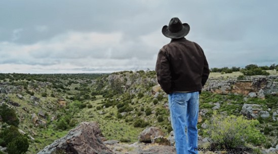 What’s the Key to Grazing Success? Rest!