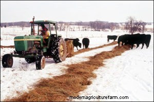 Comparing the Cost of Amending Soil With Fed Hay to Buying and Spreading Compost