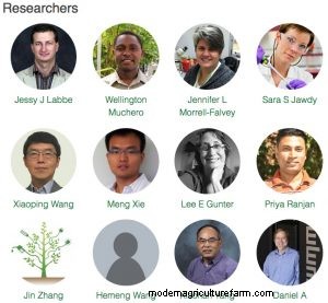 Discovery Helps Plants Make a Connection With Soil Fungi