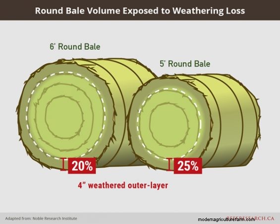 Forage Sampling For Haying and Grazing and Tips on Bale Size