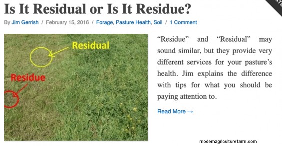 Soil Health Principles Part 3 – Keep the Soil Covered