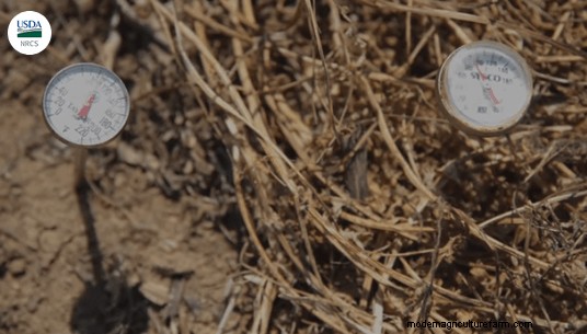 Soil Health Principles Part 3 – Keep the Soil Covered