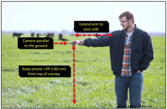 Canopeo – An App to Help You Measure Your Pasture Cover