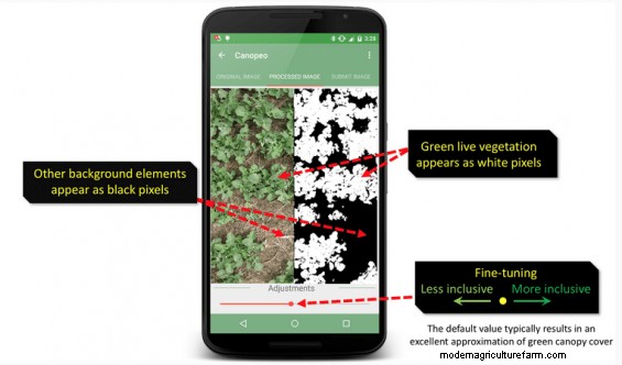 Canopeo – An App to Help You Measure Your Pasture Cover