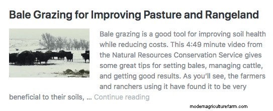 To Unroll or Not to Unroll? What Gives the Most Bang for the Buck When Bale Grazing?