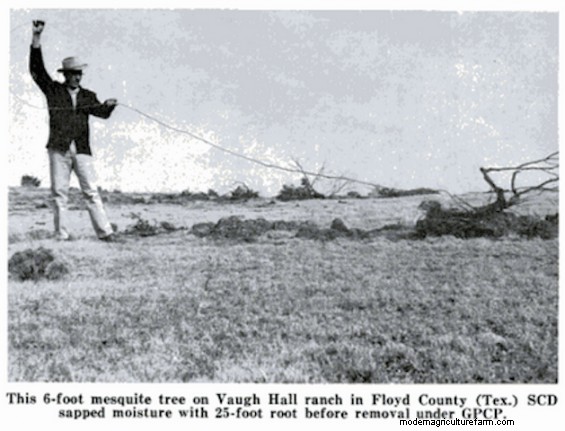 From Brush to Grass – Conservation Practices Pay Off