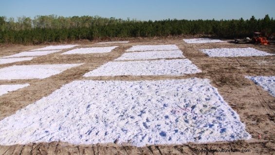 Revitalizing Soil With Paper