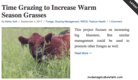 Soil Health Principles Part 5 – Diversity is Key