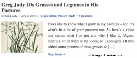 Soil Health Principles Part 5 – Diversity is Key