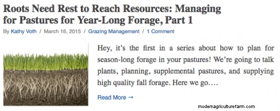 Soil Health Principles Part 4 – Keep Live Roots in the Soil