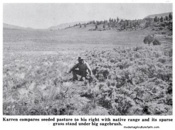 Utah Rancher Gets Results With Conservation Program