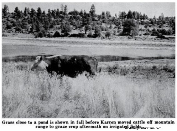 Utah Rancher Gets Results With Conservation Program