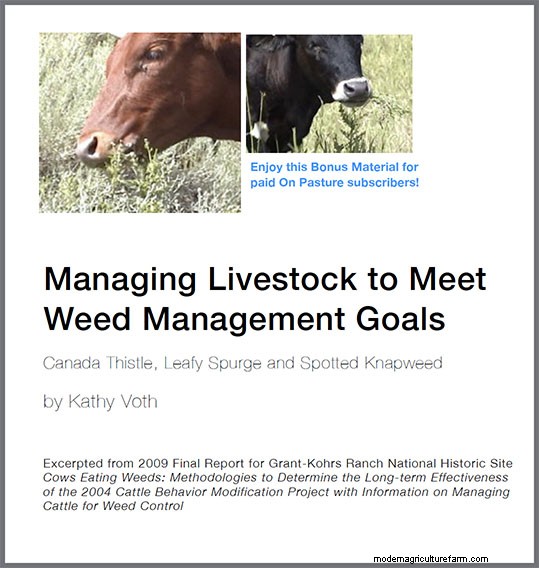 Managing Livestock to Meet Weed Management Goals – Free Download