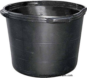 How to Teach Cows to Eat Weeds in Just 8 Hours Over 7 Days