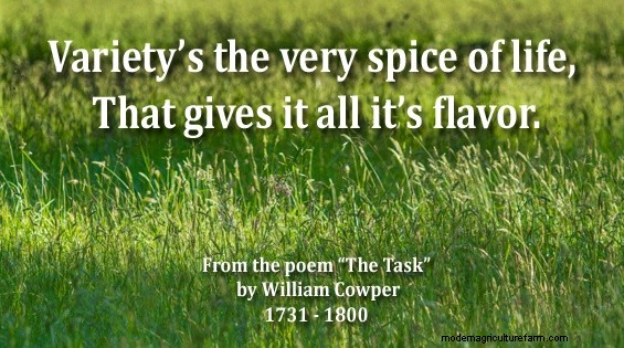 How to Choose a Grass Variety That Works for You