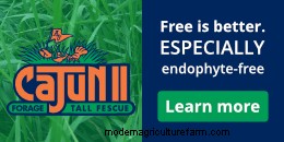 How to Choose a Grass Variety That Works for You