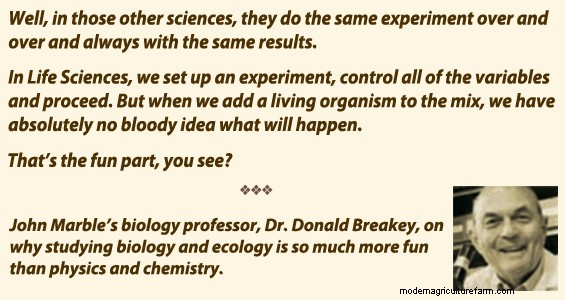 Updates on Projects to Manage Weeds and Turn a Dying Timber Stand Into Pasture