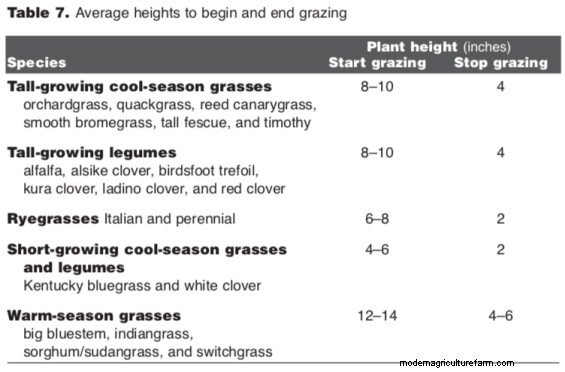 How to Time Your Grazing to Improve Plant Yield and Quality