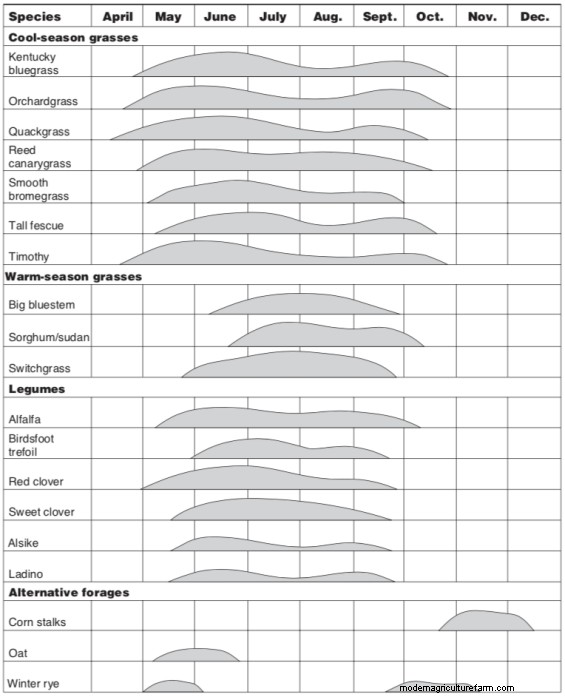 How to Time Your Grazing to Improve Plant Yield and Quality