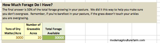 A Simple Spreadsheet For Figuring Forage Availability, Winter Feed Needs and More