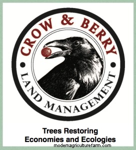 If it’s so great, why don’t we see silvopasture everywhere?