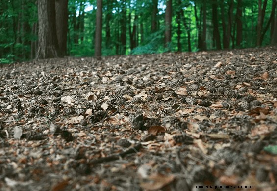 Researchers Have New Information on How Soil Feeds on the Air We Breathe