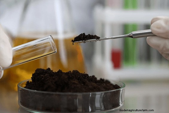 Researchers Have New Information on How Soil Feeds on the Air We Breathe