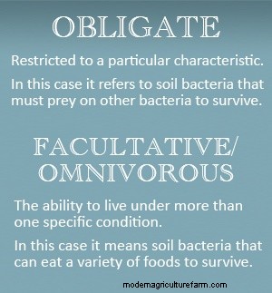 Predatory Soil Bacteria Hunt Like Vampires and Wolves, Helping Move Carbon Through the Soil